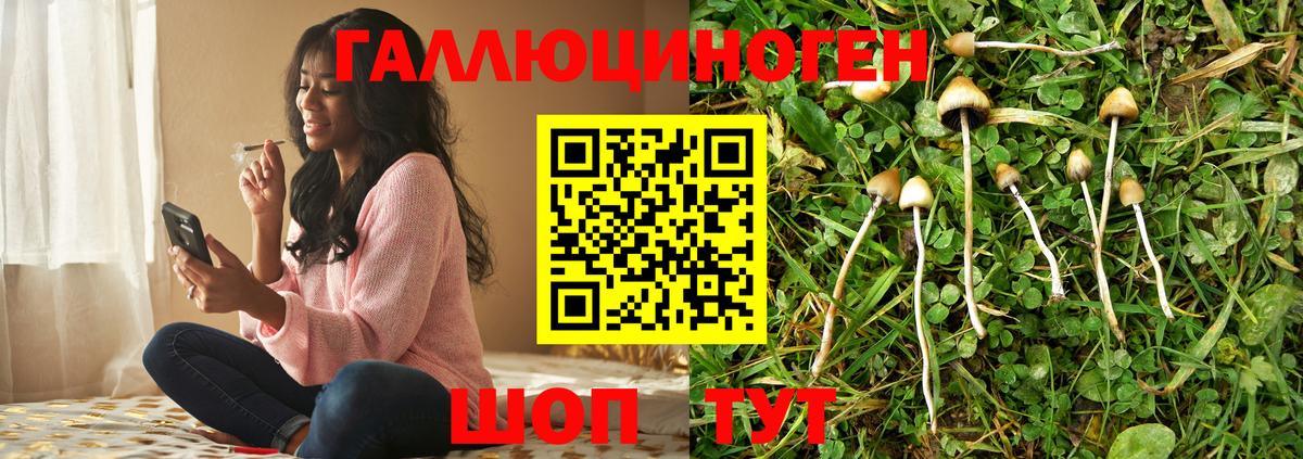 Псилоцибиновые грибы MAGIC MUSHROOMS  Вход с VPN  Сосновый Бор 