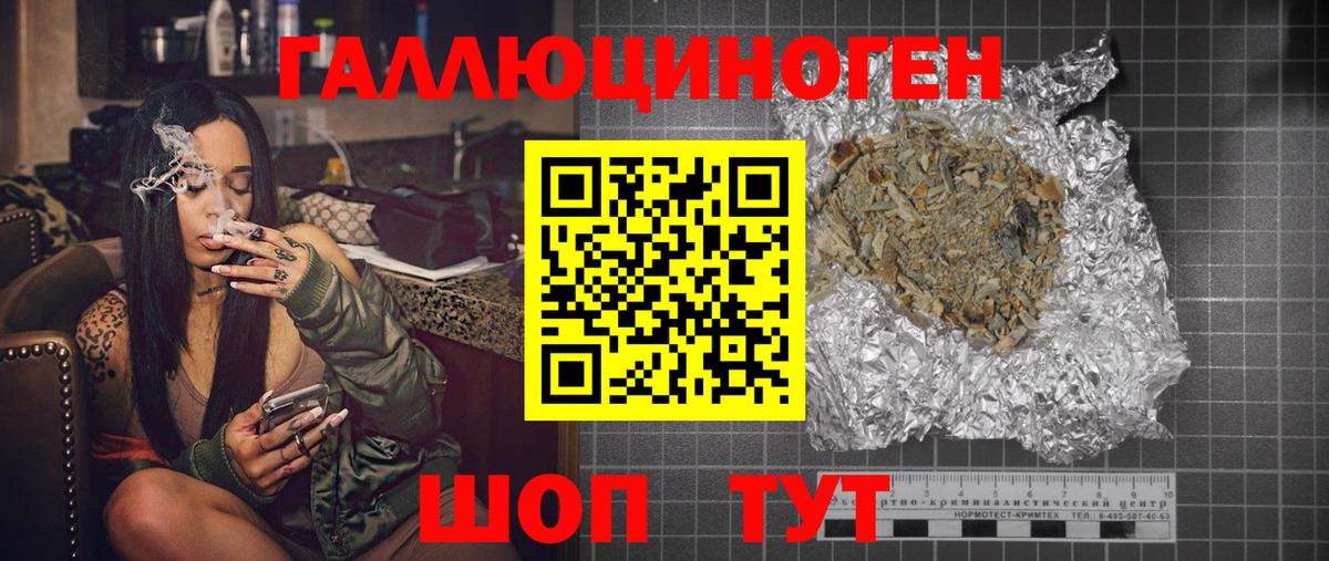 Псилоцибиновые грибы Cubensis Сосновый Бор